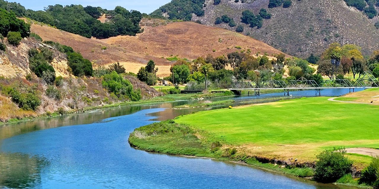 Avila’s Vital Estuary