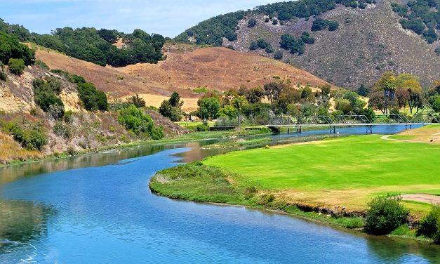 Avila’s Vital Estuary