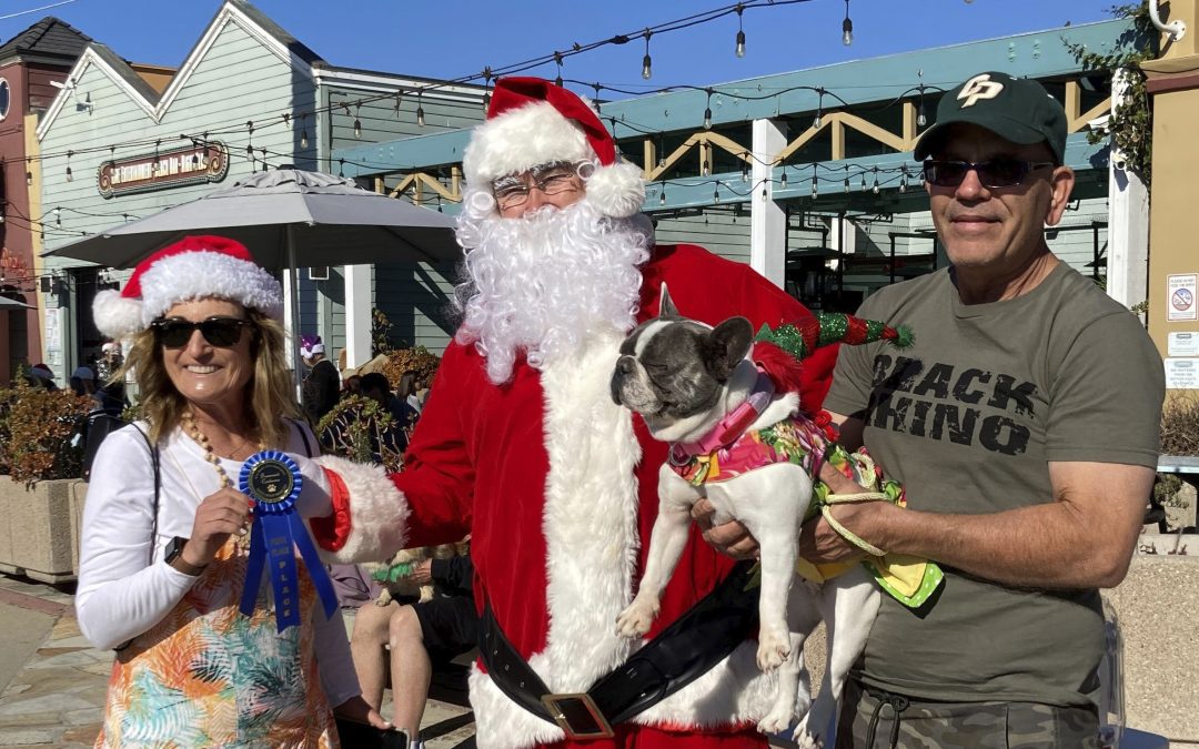 Community Spotlight:Holiday Doggie Parade Success!