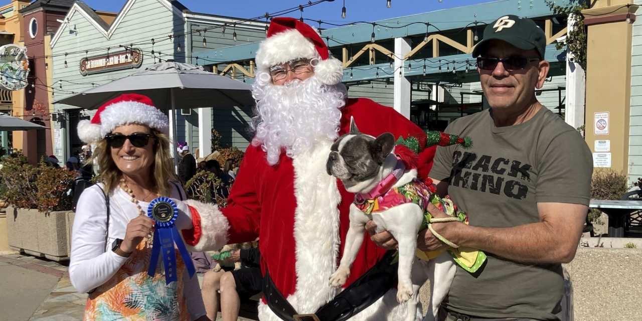 Community Spotlight:<BR>Holiday Doggie Parade Success!