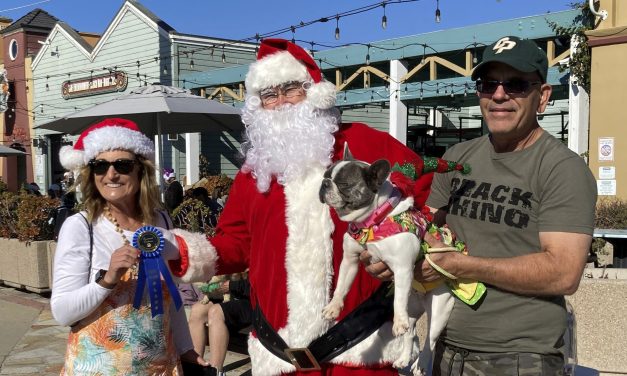 Community Spotlight:<BR>Holiday Doggie Parade Success!